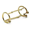 Anillo Articulado IV 